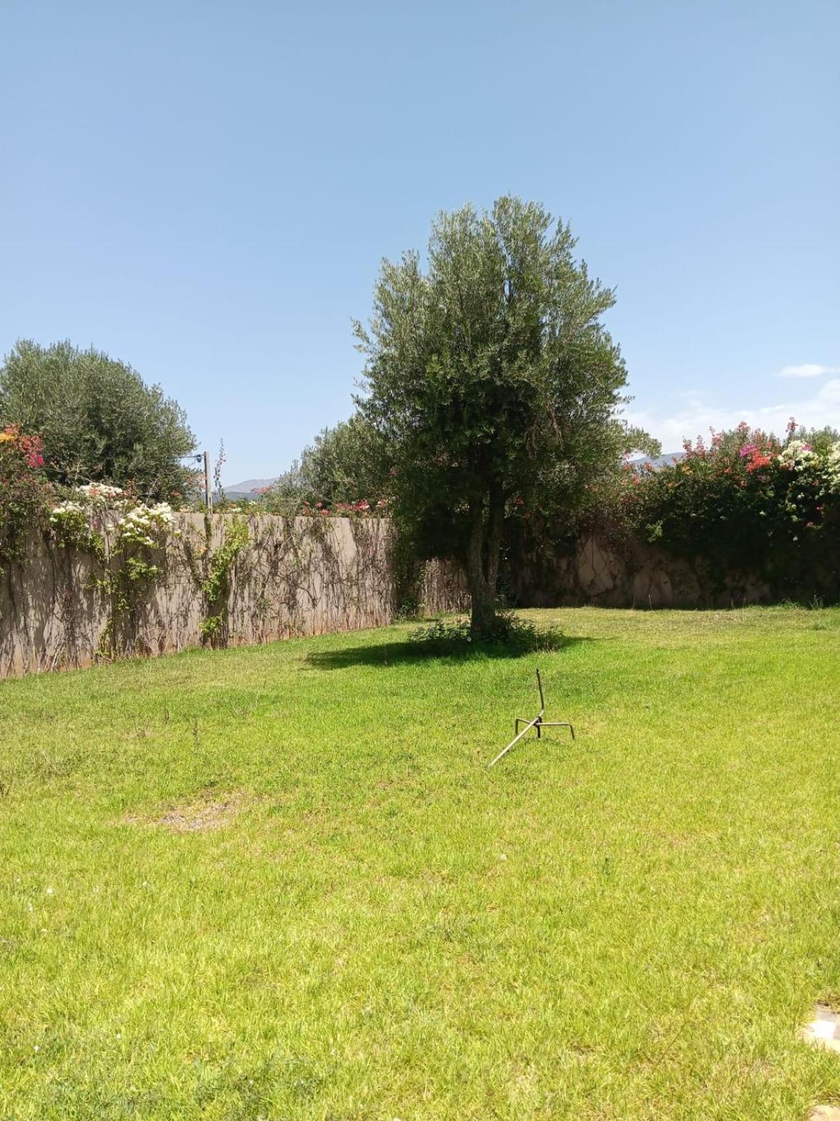 Villa Jamel Marrakech Zac مراكش المظهر الخارجي الصورة